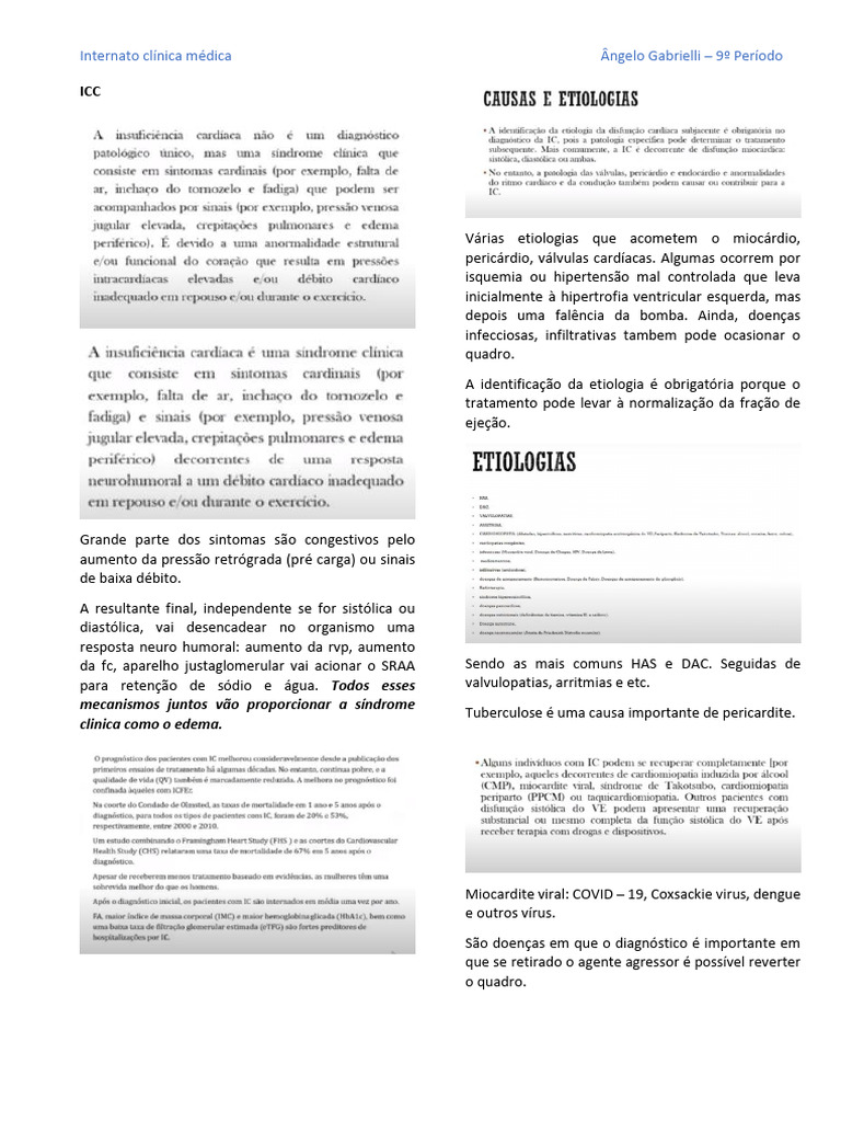 Internato Clínica Médica Ângelo Gabrielli - 9º Período | PDF ...