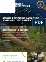 Principios Basicos de Sostenibildiad Ambiental