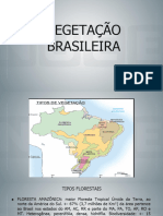 13 - Vegetação Brasileira e de Pernambuco