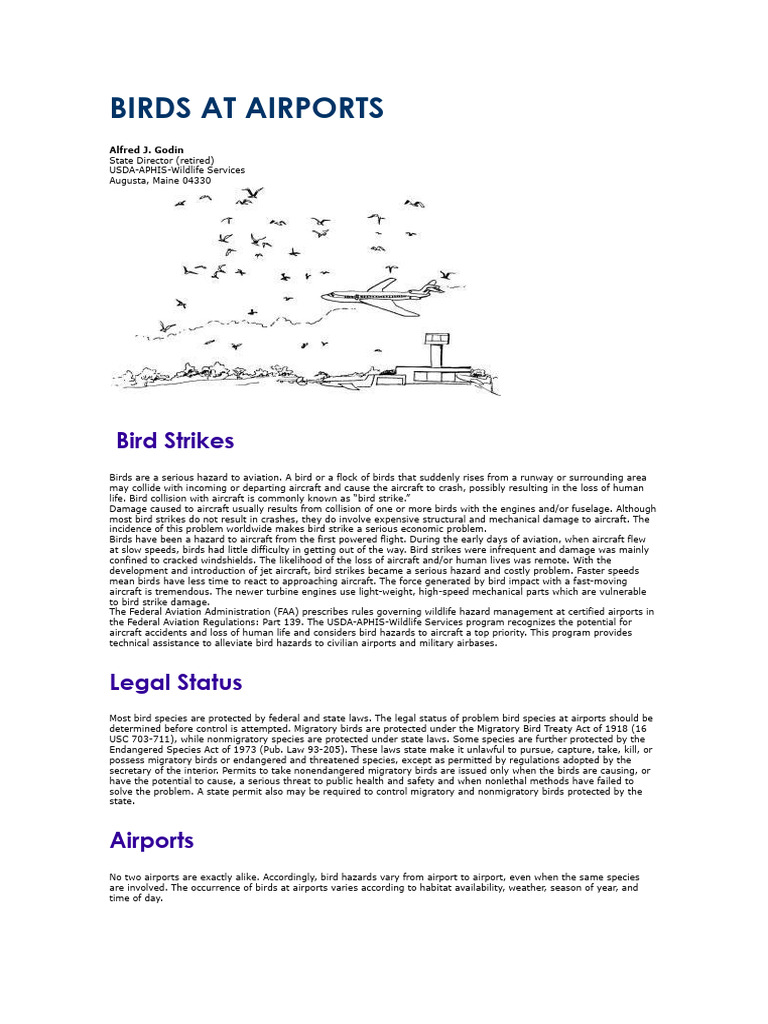 Birds at Airports | PDF | Birds | Bird Migration