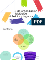 3 y 4. Niveles de Organización Biológica, Tejidos y Órganos