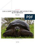 I Am A Giant Tortoise, and Soon It Will Be My Birthday