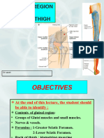 18 Posterior Compartment of Thigh