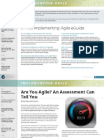 Eguide Implenting Agile Preview