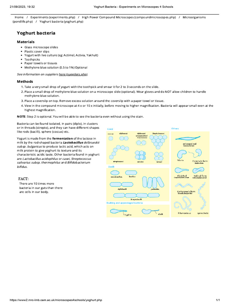 Yoghurt Bacteria Experiments On Microscopes 4 Schools Pdf