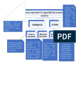 Como Aprender La Capacidad de Nuestro Cerebro: Inteligencia