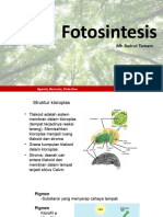 Fotosintesis