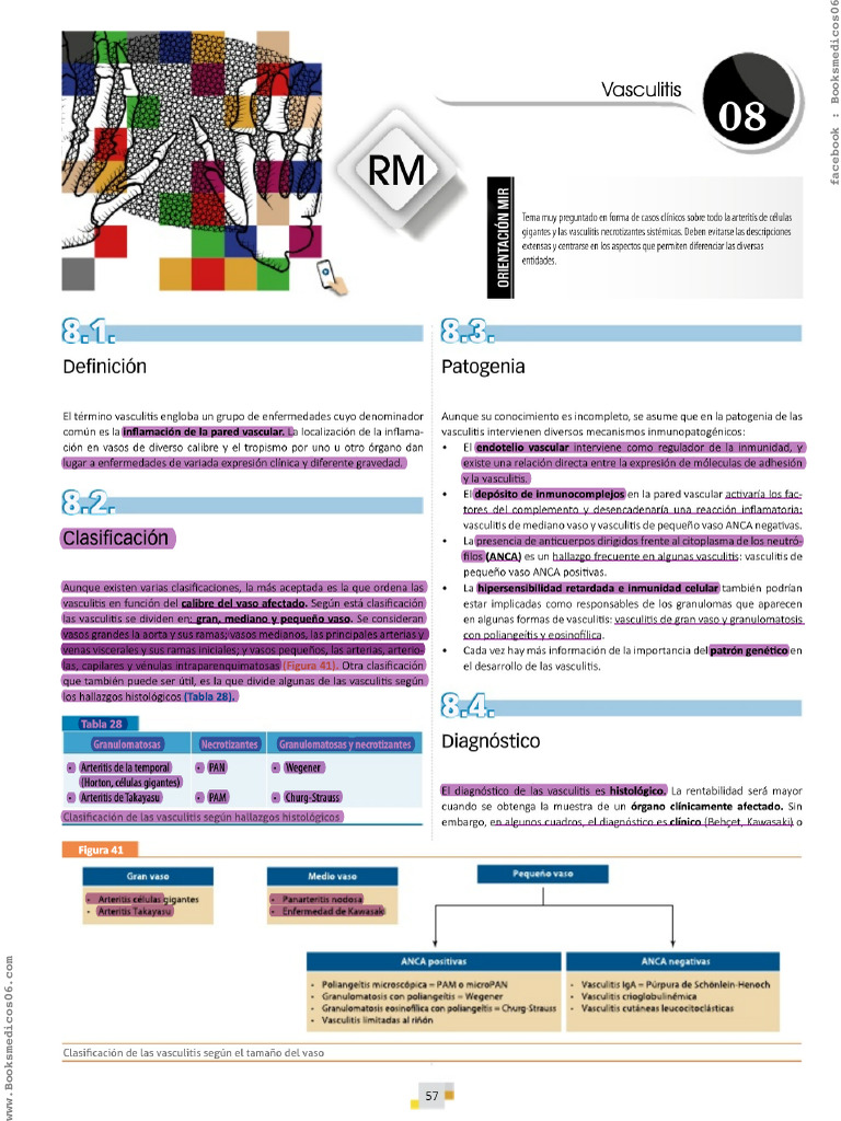 vasculitis-pdf-sistema-inmune-especialidades-medicas