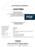 Práctica de Anatomia SESIÓN 4