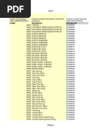 Ejemplo Plantilla Creacion de Productos Ajustada