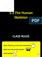 Y7-W2-T1 Skeleton and Joints