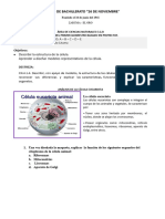 8examen Quimestral 2021 Ciencias Naturales