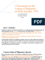 Bonn Convention On The Conservation of Migratory Species