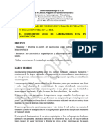 Guia 1 Laboratorio Farmacobotanica Almidón 2023-B