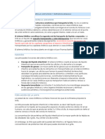 Clase 32 - Sistema Linfatico y Esplenomegalia