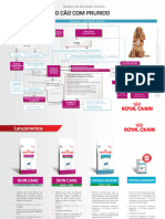 Quadro Decisoes Clinicas Dermatologia