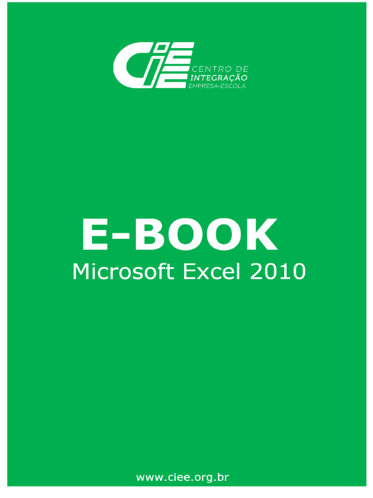 Aula 1 - Ebook - Excel | PDF