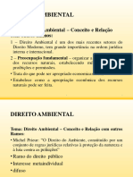 1 - DIREITO AMBIENTAl
