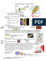 1.2. Bacteria and Viruses