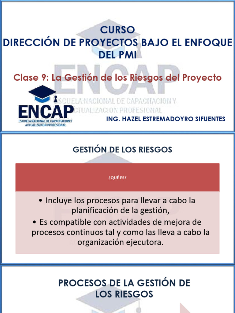 Pmi 09gestion De Los Riesgos Descargar Gratis Pdf Riesgo Evaluación