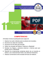 DP - Lección 11 - Comportamiento Del Fuego II - DP 2021 Final