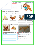 Ficha 19 Conocemos A Los Animales