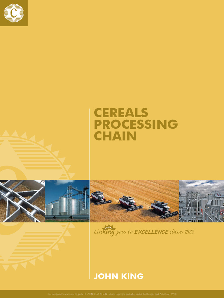 John King Chains PDF Steel Materials
