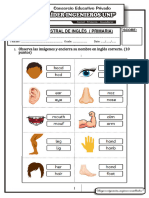 Examen Bimestral 2bimestre Primaria