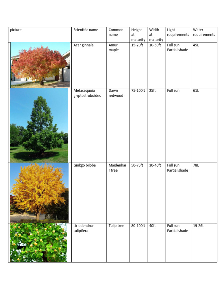 Tree Species Growth Requirements Guide | PDF