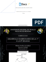 Desarrollo Embrionar 47547 Downloadable 4115543