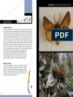 Articles-257014 Recurso PDF