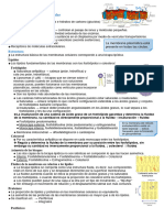 Apunte 3 - Biomembranas (1º Parcial 2 Cuadri 2022)