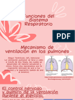 Funciones Del Sistema Respiratoria
