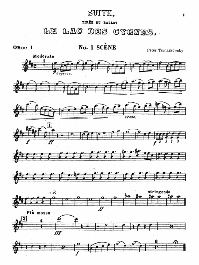 Tchaikovsky Swan Lake Oboe Solo PDF