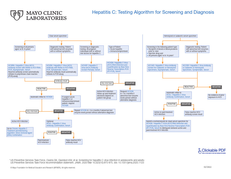 Testing Algorithm For The Screening and Diagnosis of Hepatitis C | PDF