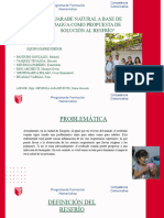 Presentacion Resumen de Proyecto de La Empresa Corporativo Profesional Verde