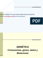 2023 - Chromosomen Und Karyogramme Es