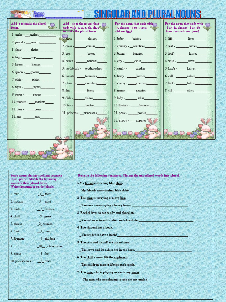 Plural Nouns Worksheet Exercises | PDF | Morphology | Language Mechanics