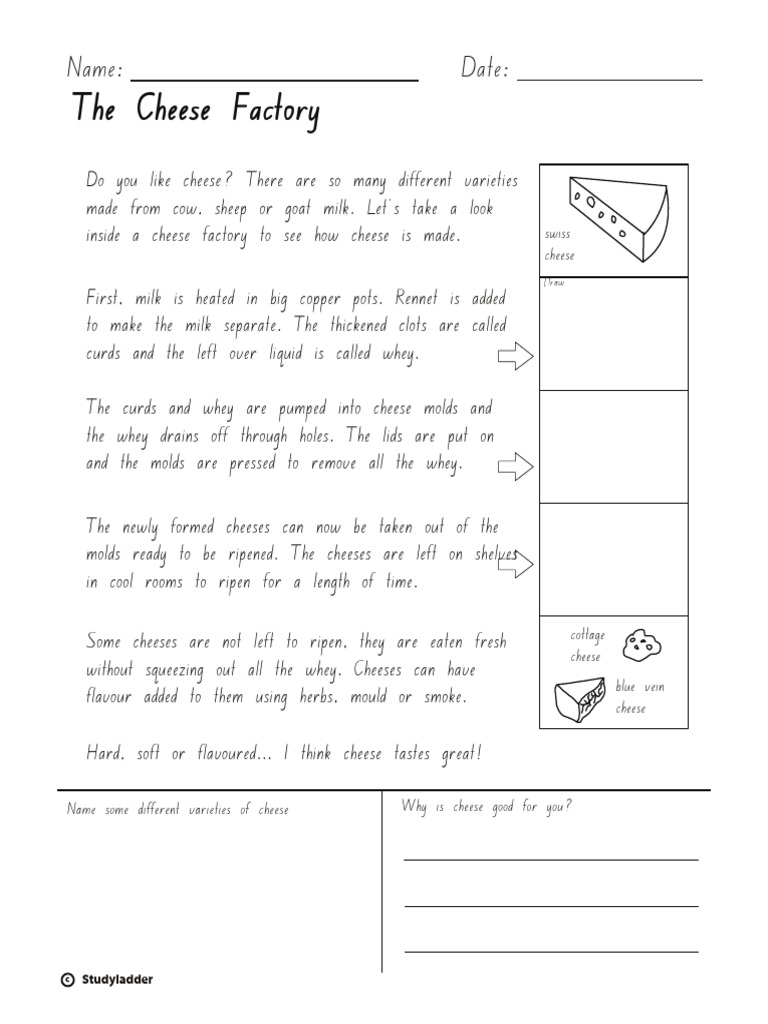 Cheese Making Process Explained | PDF | Cheese | Cheesemaking