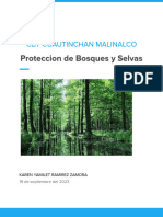Proteccion de Bosques y Selvas: CBT Cuautinchan Malinalco