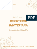 Disenteria Bacteriana