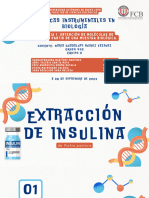 Infografia Extraccion de Insulina