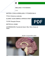 Agabriela - Arriaga - Unidad 1 - Actividad 3 - Sistemas Cerebrales