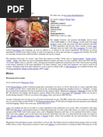 Download Ice cream by Uraka Urnaa SN67284166 doc pdf