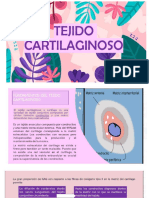 Tejido Cartilaginoso 1