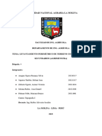 Informe 2