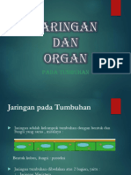 Jaringan Dan Organ Tumbuhan