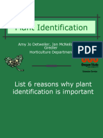 Plant Identification Handout