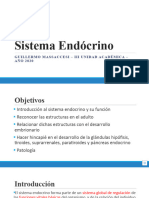 TP11 SISTEMA ENDOCRINO Embrio