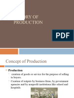 Theory of Production